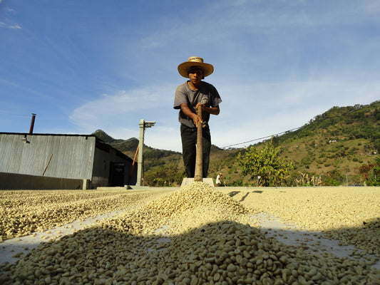 Costa Rica Tarrazu - 500gr